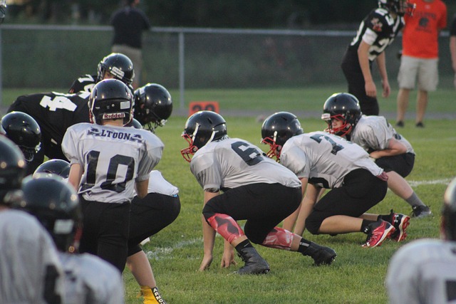 无疑为他们 无疑为他们