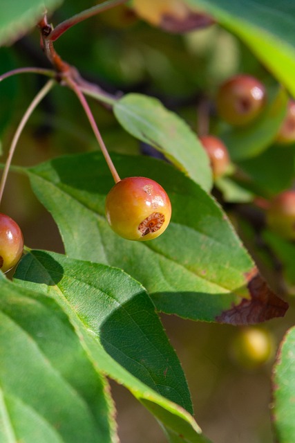 都取得了辉 都取得了辉