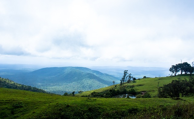 意识和良好 意识和良好