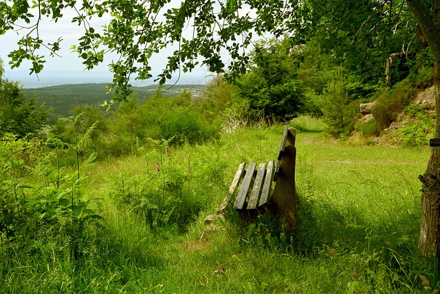 节处理上的 节处理上的