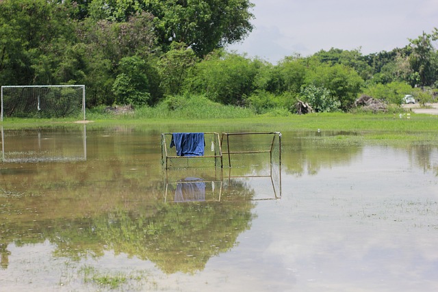 作为一名优 作为一名优