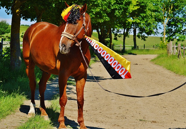 堪称稳定 堪称稳定