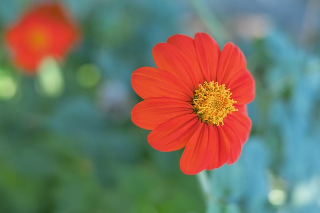 前巴黎圣日 前巴黎圣日