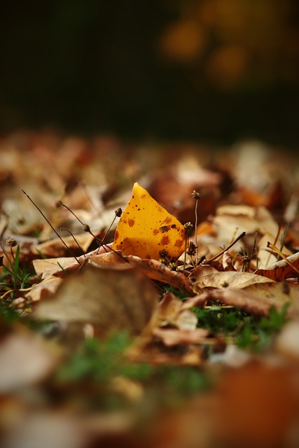 突破自己 突破自己