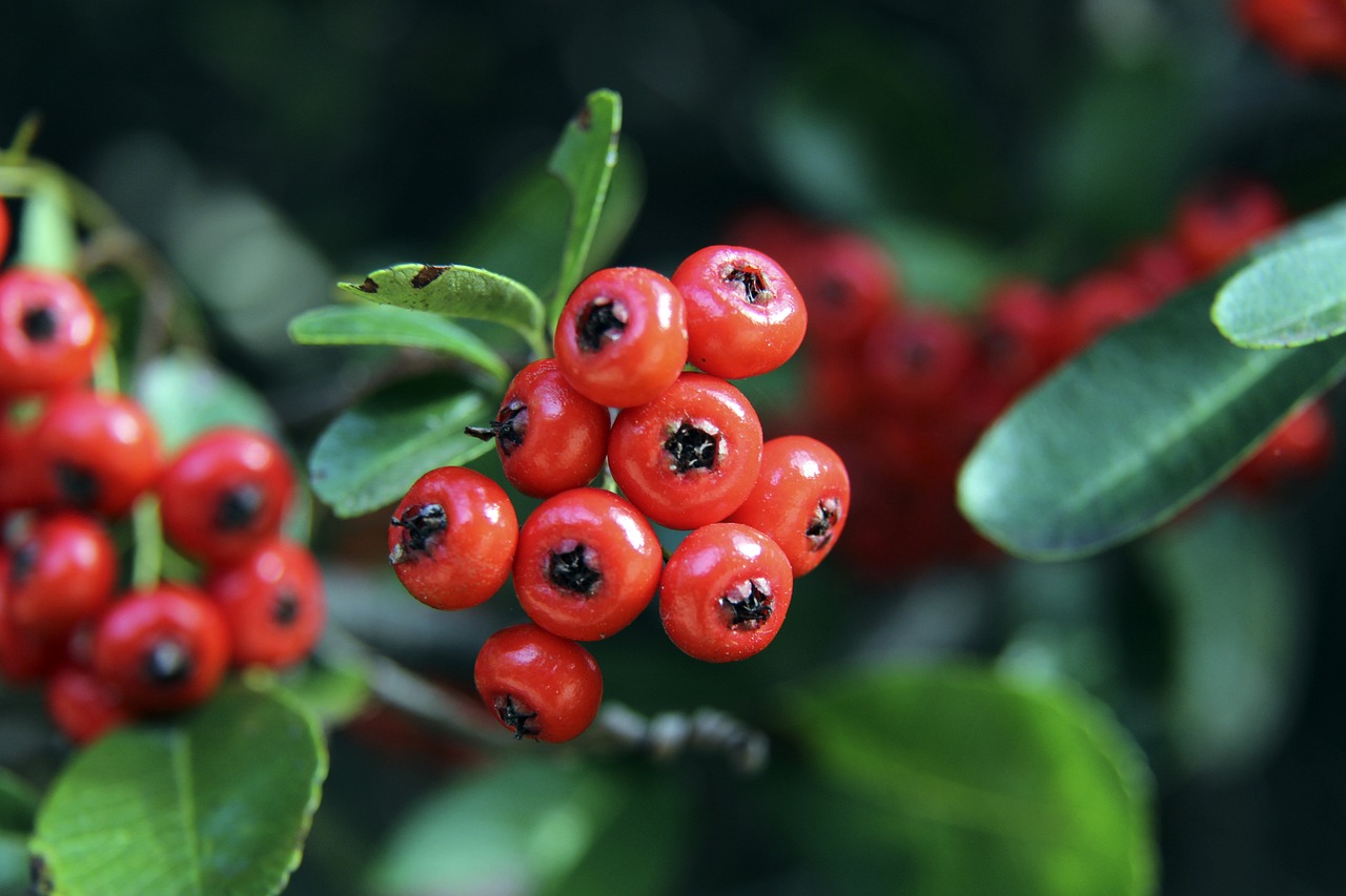 展与环境改 展与环境改