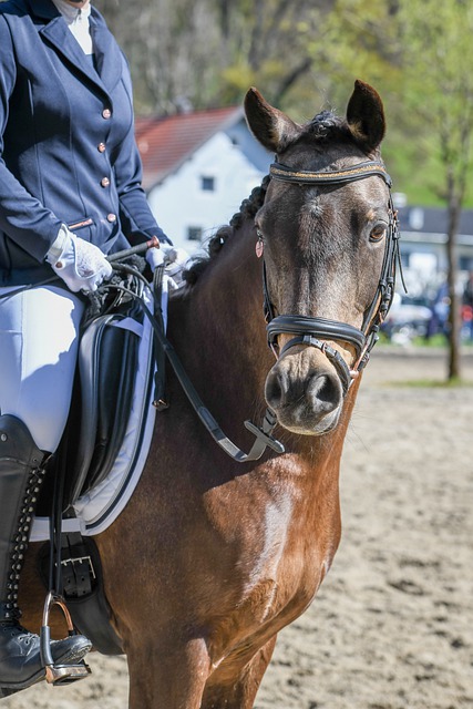 对于皇家马 对于皇家马