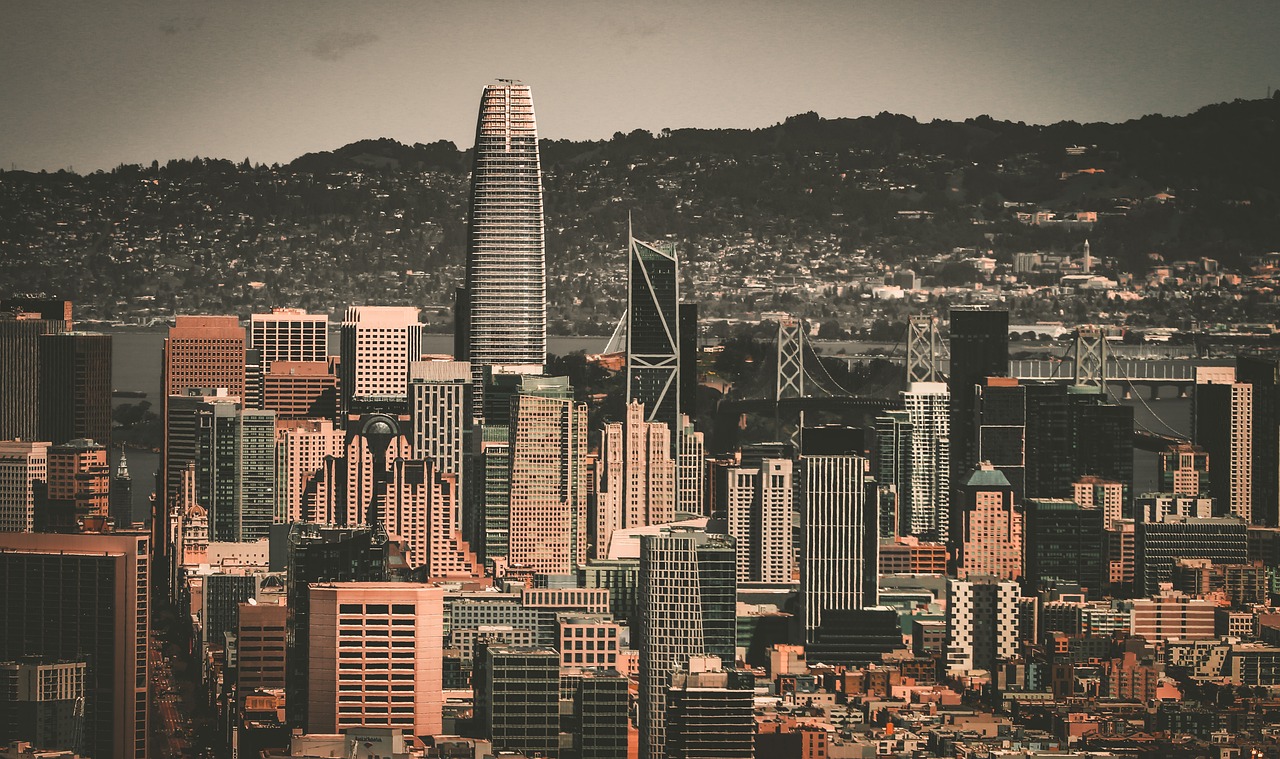 多才多艺的 多才多艺的